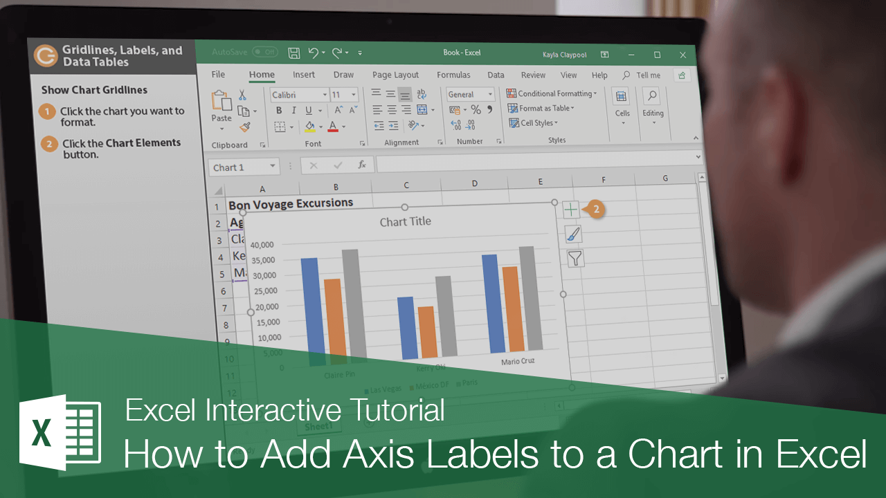 How to Add Axis Labels in Excel