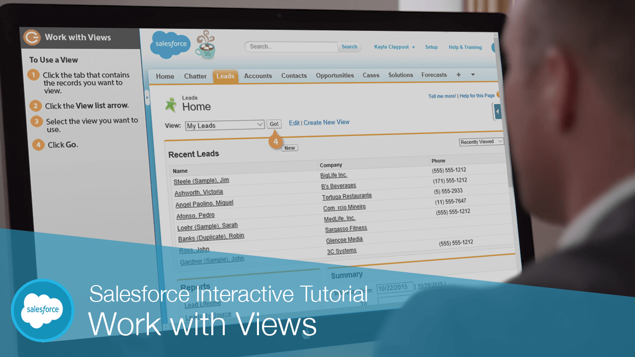 Salesforce List Views